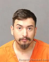Mugshot of David Narvaiz