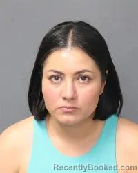 Mugshot of Ashley Isabelle Jiron