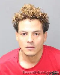 Mugshot of Efren M Molina-Torrez