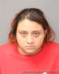 Mugshot of Monica Calva