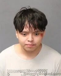 Mugshot of Jermain Wellito