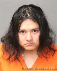 Booking photo from Bernalillo County, New Mexico