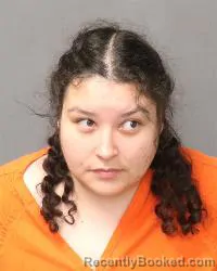 Booking photo from Bernalillo County, New Mexico
