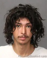 Mugshot of Diego Francisco Gallegos