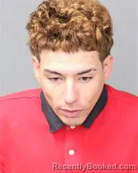 Mugshot of Angel David Pinillanieles
