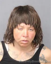 Mugshot of Ashley Ann Nicole Sanchez