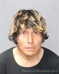 Mugshot of Samuel L Sala