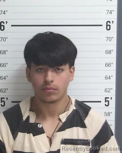 Mugshot of JULIAN ROMO