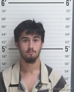 Mugshot of ANTHONY JAMES ALEGRIA