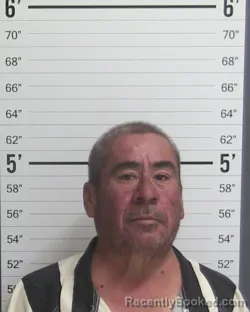 Mugshot of GUADALUPE GRANADOS