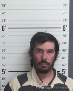 Mugshot of ALAN HUCKINS
