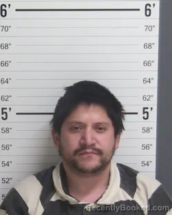 Mugshot of JESUS GAYTAN