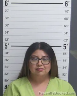 Mugshot of BRITTANY NICOLE LOPEZ