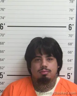 Booking photo from Curry County, New Mexico