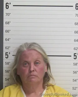 Mugshot of MARTEKA MICHELLE PETTIT