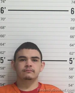 Mugshot of LOGAN AIDAN BANKER