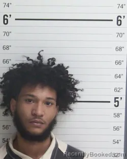 Mugshot of BRYAN TREMAINE  SCOTT WESLEY