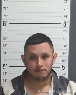 Mugshot of ALVARO DANIEL CALDERA