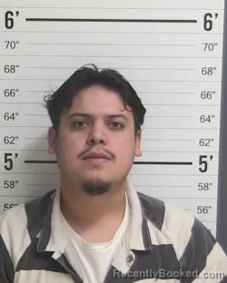Mugshot of ELUID SANCHEZ