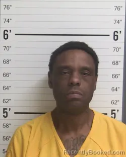 Mugshot of BRIAN LEE WALLACE STOTTS