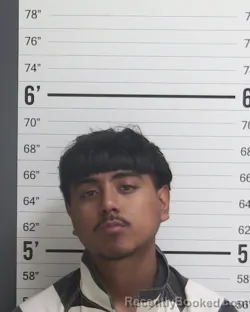 Mugshot of DANIEL OLIVAS