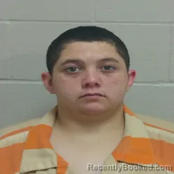 Mugshot of KELLY JUSTICE PUNKIN LAWSON