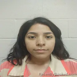 Mugshot of ALYSSA MICHELLE RODRIGUEZ
