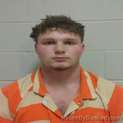 Mugshot of DEVIN TAYLOR WEBSTER