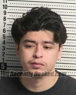 Booking photo from Dona Ana County, New Mexico