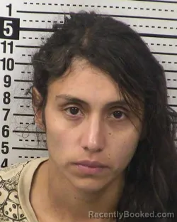 Booking photo from Dona Ana County, New Mexico