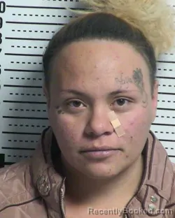 Booking photo from Dona Ana County, New Mexico