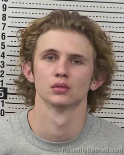 Mugshot of NIKOLAS SHANE GIBSON