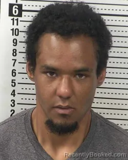 Mugshot of GABRIEL JAVIER WALKER