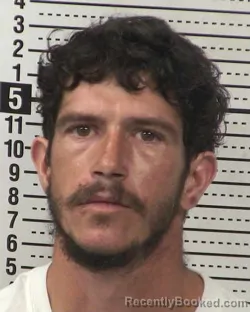 Mugshot of LEEVI HENRY DURAN
