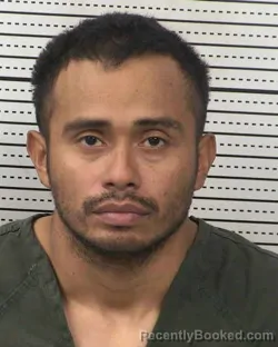 Mugshot of LUIS CHACIN-MONTES