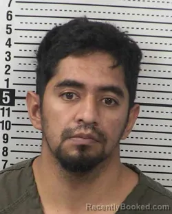 Mugshot of JOEL MENA-NAVA