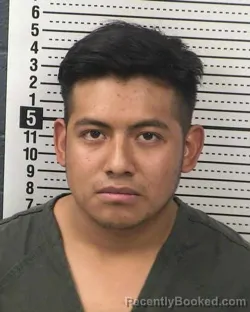Mugshot of LUIS HERNANDEZ-ZARAGOZA