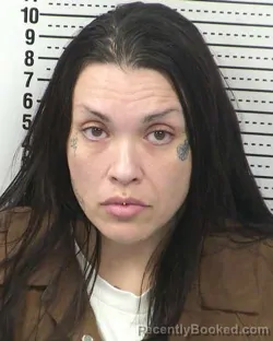 Mugshot of BETHANIE MONTANO