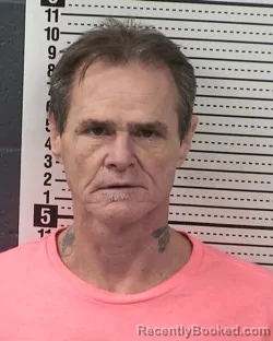 Mugshot of MARK WREN