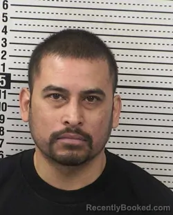 Mugshot of JOE CASTILLO