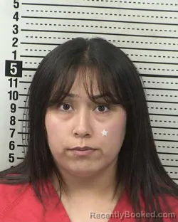 Booking photo from Dona Ana County, New Mexico