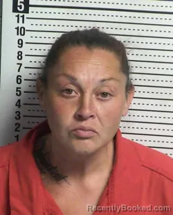 Mugshot of NICOLE PRIETO
