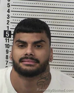Booking photo from Dona Ana County, New Mexico