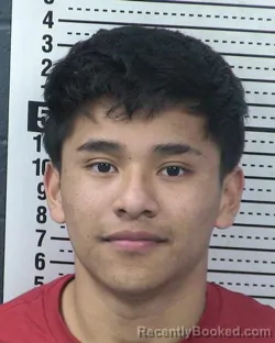 Mugshot of CARLOS ALAVEZ-MORALES