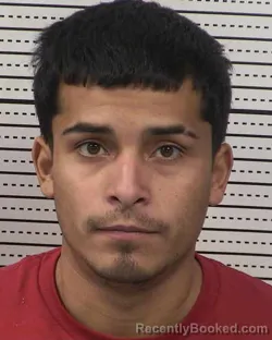 Mugshot of LUIS GARCIA-SANCHEZ