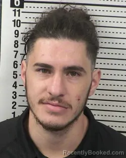Mugshot of ALEJANDRO GONZALEZ