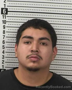 Mugshot of BRIAN SUAREZ ALVARADO