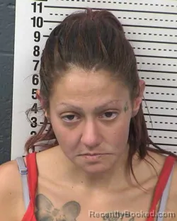 Mugshot of TRISTION N SALAZAR