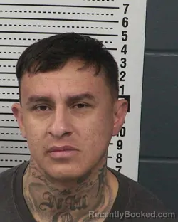 Mugshot of LUIS JAVIER ARENAS