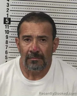 Mugshot of DANIEL MONTES